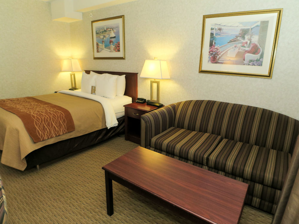 Comfort Inn&Suites Medicine Hat Exterior foto